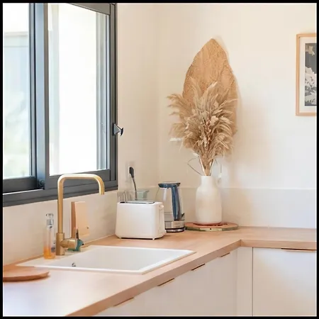 Vila Maison Calme Biscarosse Avec Piscine - 10 Min